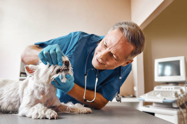 Best Emergency Root Canal Therapy in Sanger, CA